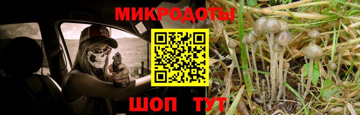 Псилоцибиновые грибы мицелий  Вход с VPN  Касимов 